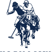 Masterlook logo